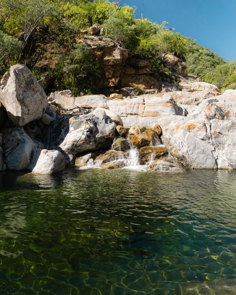 rancho ecologico del sol